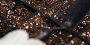 Water-holding soil will be key to weathering heat