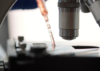 Biotechnology Will Address Nigeria’s Food Insecurity