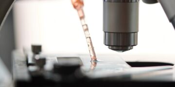 Biotechnology Will Address Nigeria’s Food Insecurity