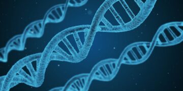 Gene Editing Technology Market is Going to Boom By 2030