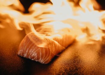 An Insincere Consultation About Salmon Farming in BC