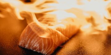 An Insincere Consultation About Salmon Farming in BC