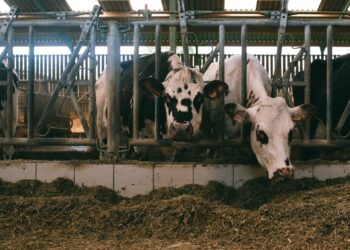 FarmBox Foods Launches Indoor Farm that Grows Livestock Feed