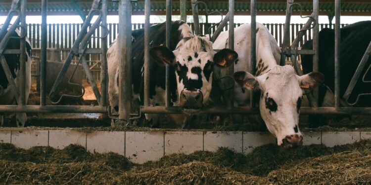 FarmBox Foods Launches Indoor Farm that Grows Livestock Feed