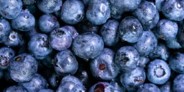 Water Ways Receives Recurring Order From a Blueberry Grower in Mexico