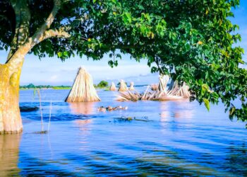 Flooding and Legal Liability – What are We Seeing?