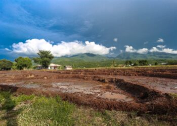 Farmers Can Save Water with Wireless Technologies, but There are Challenges – Like Transmitting Data Through Mud