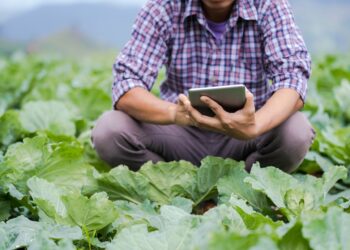 Companies Promote Digital and Smart Agriculture in China
