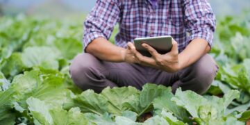 Companies Promote Digital and Smart Agriculture in China