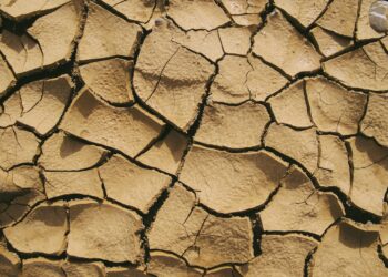 Extreme Weather Events Impact Agriculture in India