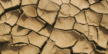 Extreme Weather Events Impact Agriculture in India