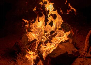 Automatic Forest Fire Detection System with AI Enables Early and Efficient Response