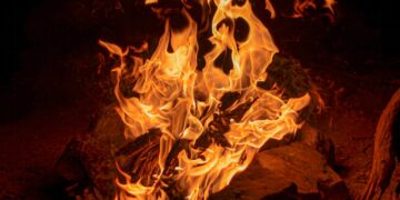 Automatic Forest Fire Detection System with AI Enables Early and Efficient Response