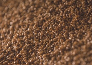 Use of Grain for Feed Lessens in Germany