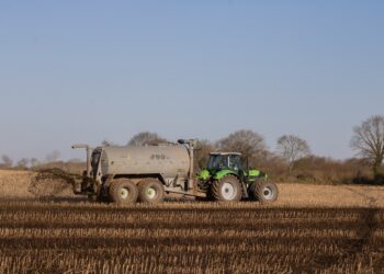 4 Fall Nitrogen Strategies