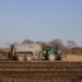 4 Fall Nitrogen Strategies