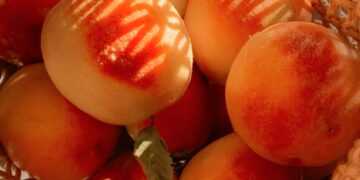 How the Peach State is Becoming a Home for Citrus