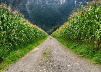 Diverse Dakota Agriculture