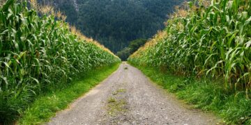 Diverse Dakota Agriculture