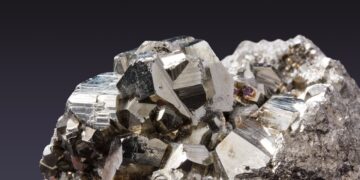 Study Explains How a Fungus Helps Plants to Acquire More Iron in a Sustainable Way