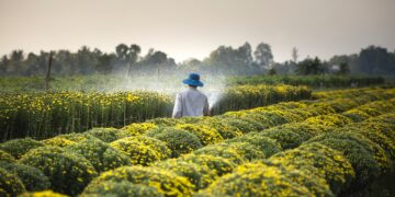 The Importance of Water in Agriculture