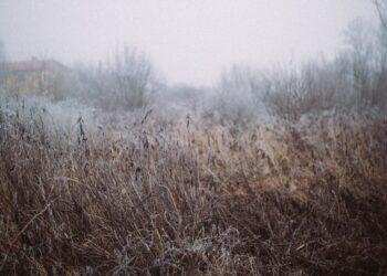 What is Weed Science?