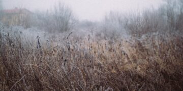 What is Weed Science?