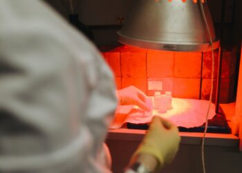 Infrared Heater for Agriculture Market Report