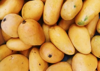 Supporting Mango Exports