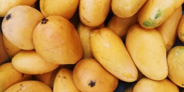 Supporting Mango Exports