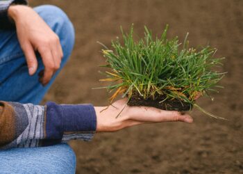 Cargill Expands its Award-Winning Regenerative Agriculture Program to Europe