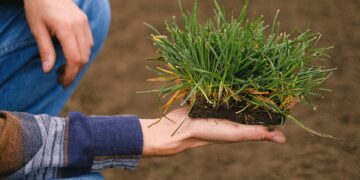 Cargill Expands its Award-Winning Regenerative Agriculture Program to Europe