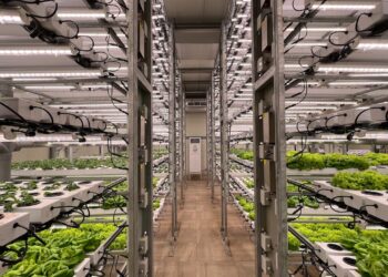 Experts Advise Promotion of Urban, Vertical Agriculture