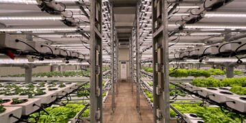 Experts Advise Promotion of Urban, Vertical Agriculture