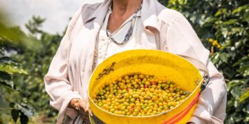 Women are Key to Ending World Hunger