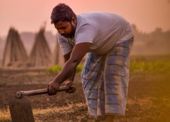 Producing More From Less: How Indian Agriculture Grew Despite Limitations