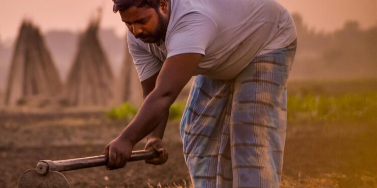 Producing More From Less: How Indian Agriculture Grew Despite Limitations